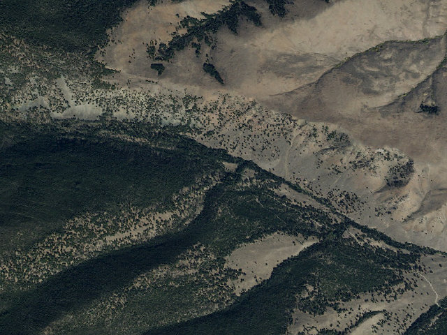 Aerial image of Bear Valley Horse Camp