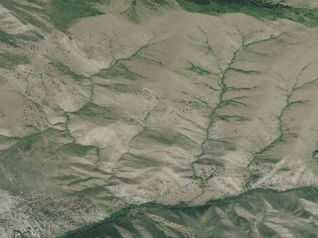 Aerial image of Beartooth WMA