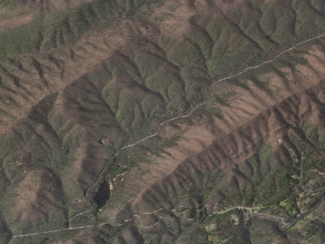 Aerial image of Beartree Campground