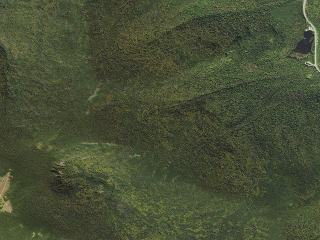 Aerial image of Beaver Brook Shelter