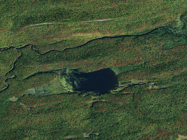 Aerial image of Beaver Lake (Moose River Plains Wild Forest)