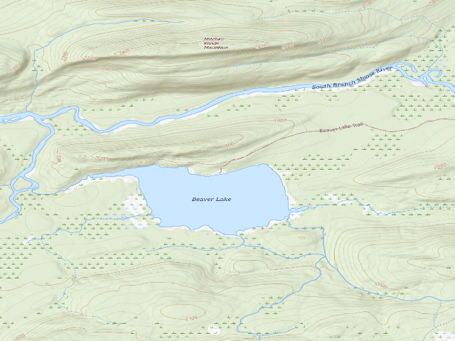 USGS topographic map of Beaver Lake (Moose River Plains Wild Forest)