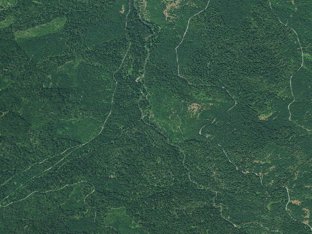 Aerial image of Beaver Shelter