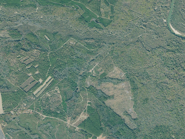 Aerial image of Beaverdam WMA - Old Camp