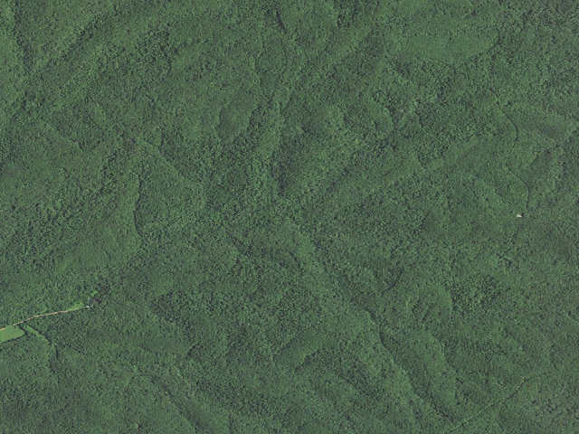 Aerial image of Beecher Spring