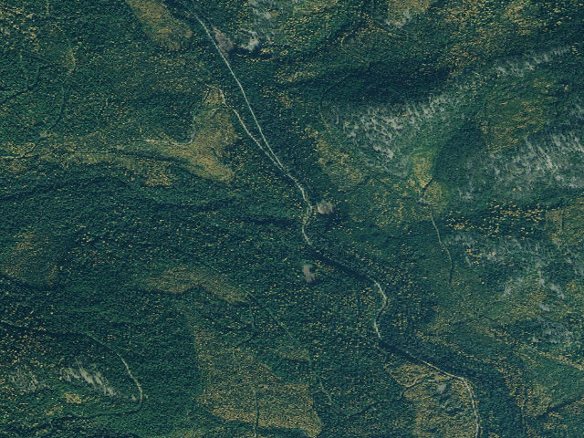 Aerial image of Beetle Creek