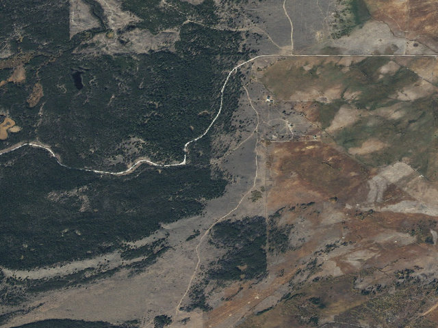 Aerial image of Beetle Kill