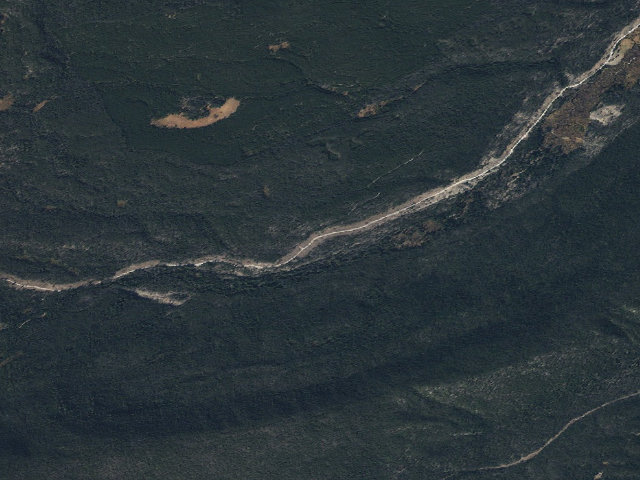 Aerial image of Beetle Kill