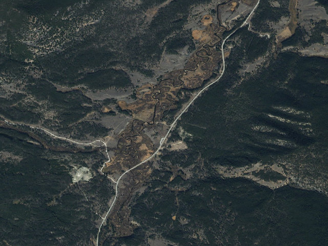 Aerial image of Beetle Kill