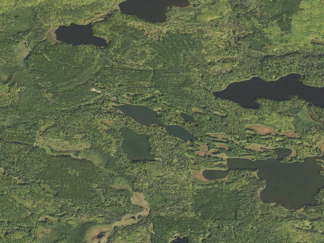 Aerial image of Beetle Lake Site 1