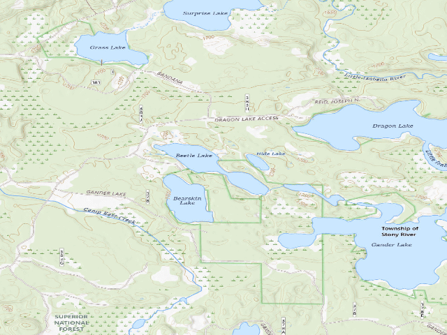 USGS topographic map of Beetle Lake Site 1
