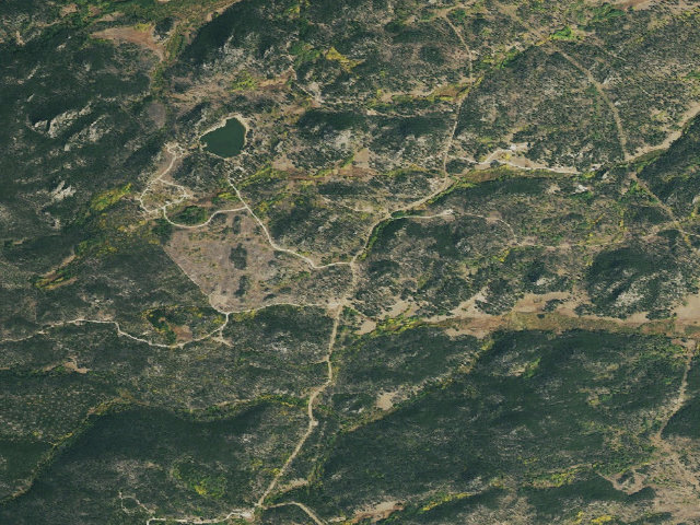 Aerial image of Bellaire Lake