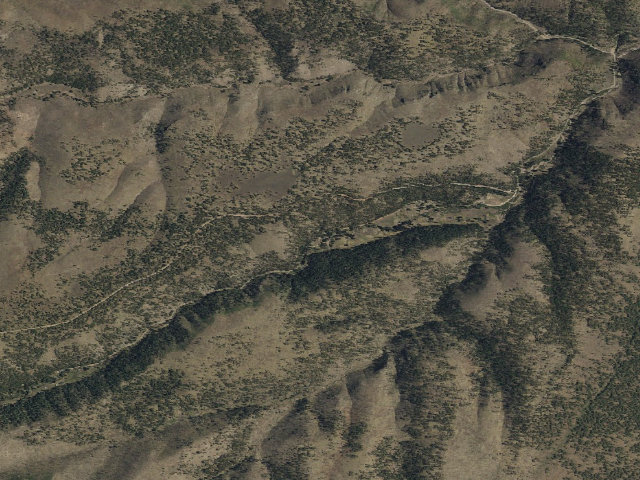 Aerial image of Ben Lilly Campground