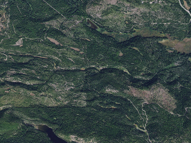 Aerial image of Bertha Creek 01