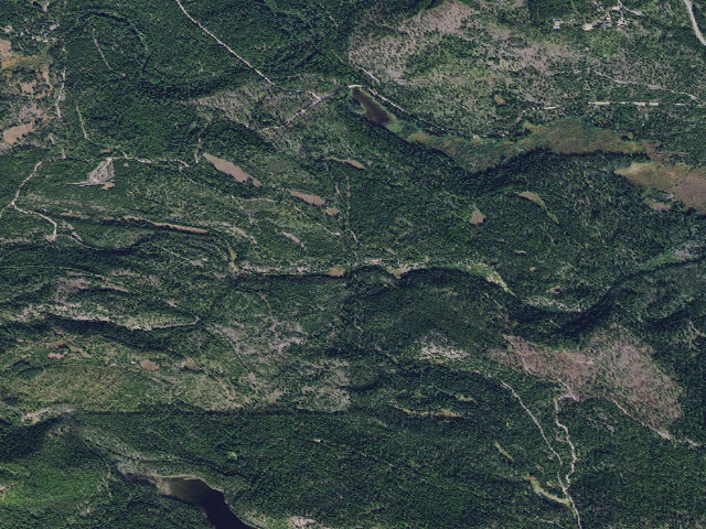 Aerial image of Bertha Creek 02