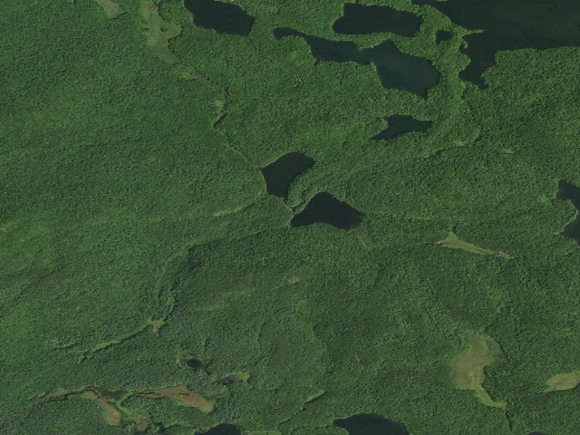 Aerial image of Bessie Pond Campsite (Saint Regis Canoe Area)