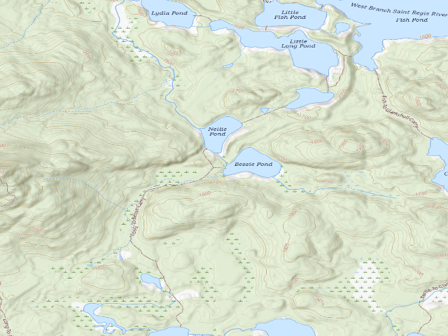 USGS topographic map of Bessie Pond Campsite (Saint Regis Canoe Area)