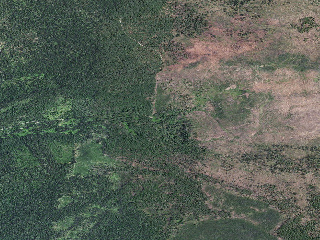 Aerial image of Bessie Shelter