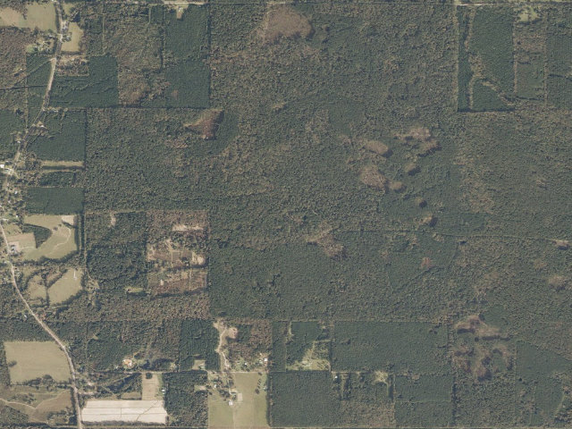 Aerial image of Bienville WMA camp site 1