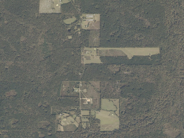 Aerial image of Bienville WMA camp site 2