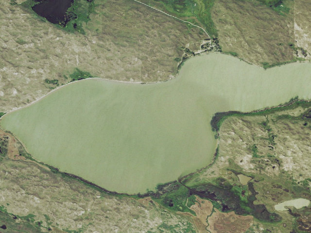 Aerial image of Big Alkali Lake WMA