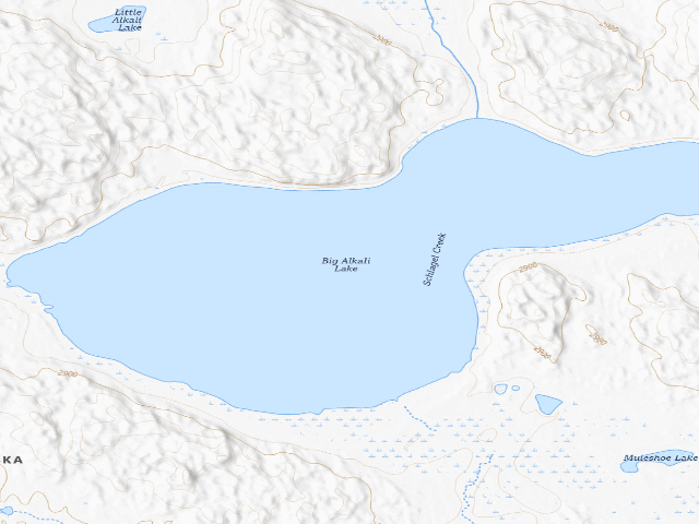 USGS topographic map of Big Alkali Lake WMA