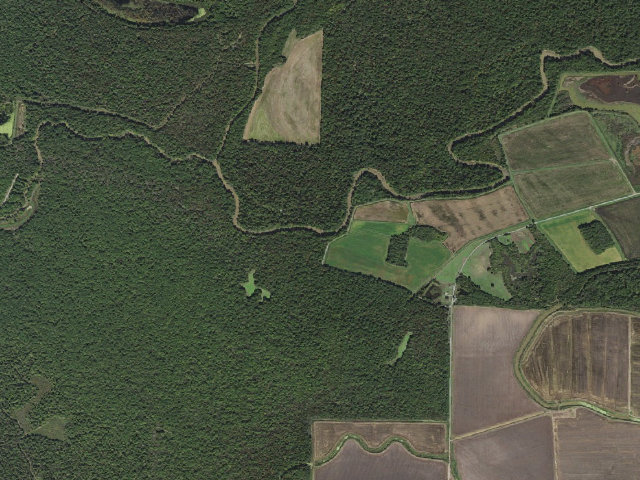 Aerial image of Big Bayou Meto Access Camping Area