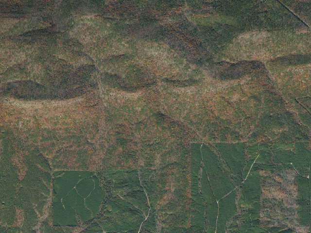 Aerial image of Big Bear Trail Shelter