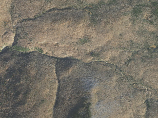 Aerial image of Big Branch Shelter
