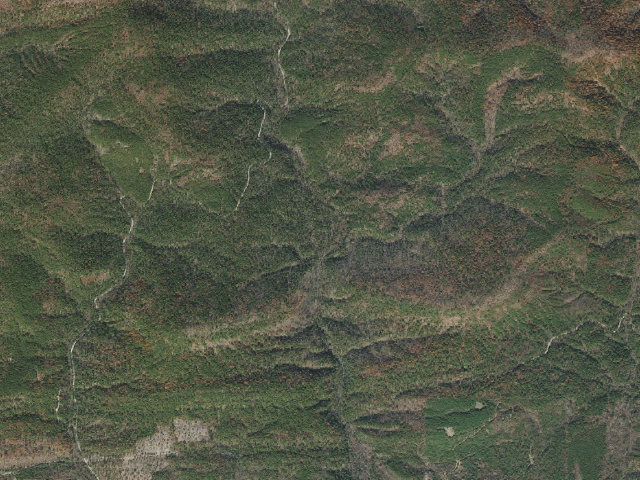 Aerial image of Big Branch Trail Shelter