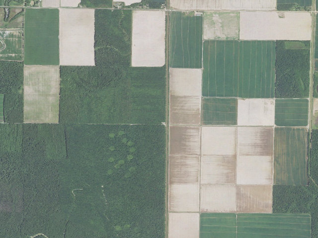 Aerial image of Big Cane Conservation Area