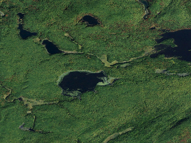 Aerial image of Big Deer Pond Campsite (Five Ponds Wilderness)