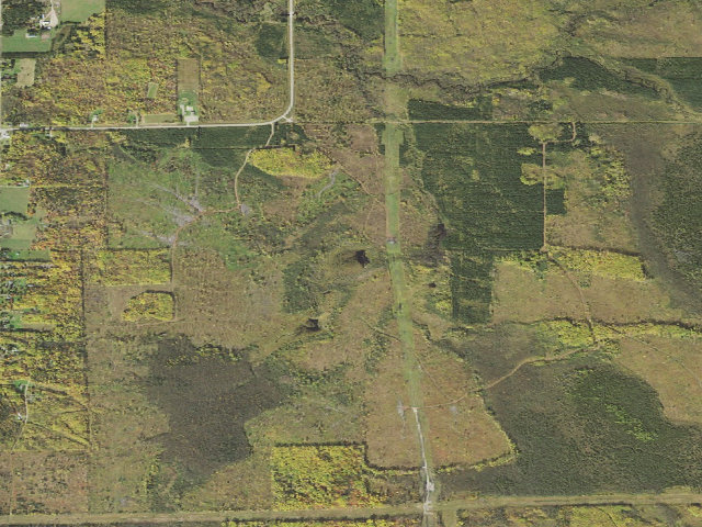 Aerial image of Big Dick Lake M44