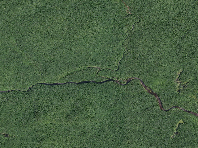 Aerial image of Big Eddy Tentsite (Silver Lake Wilderness)
