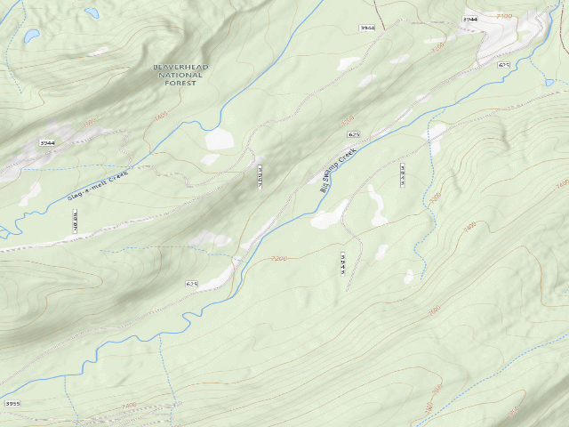 USGS topographic map of Big Flat