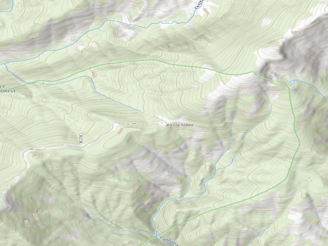 USGS topographic map of Big Fog Saddle