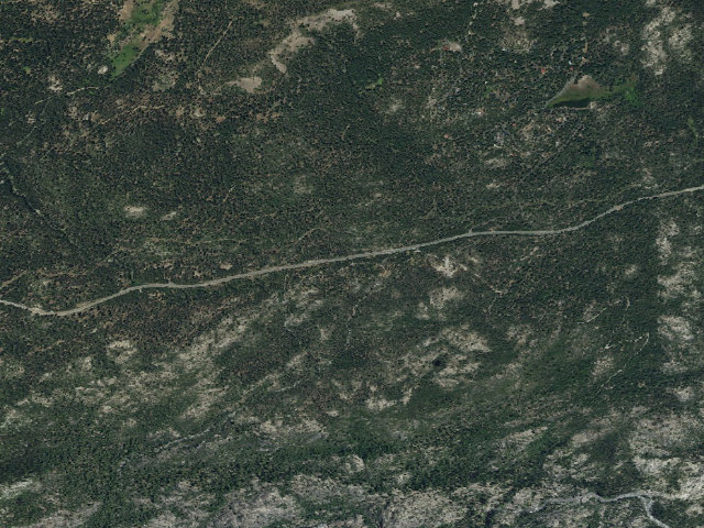 Aerial image of Big Meadow