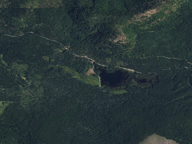 Aerial image of Big Meadow Lake