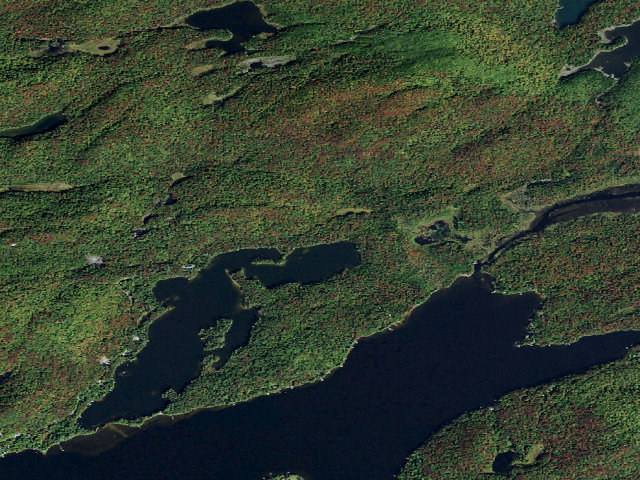 Aerial image of Big Moose Lake Designated Campsite 1 [DEC #18913] (Pigeon Lake Wilderness)