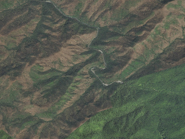 Aerial image of Big Oak Cove Cg