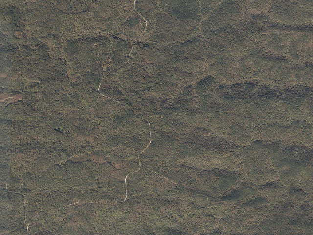 Aerial image of Big Oak  Hunter Camp