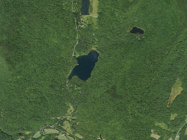 Aerial image of Big Pond Campsite 10 [DEC #16746] (Delaware Wild Forest)