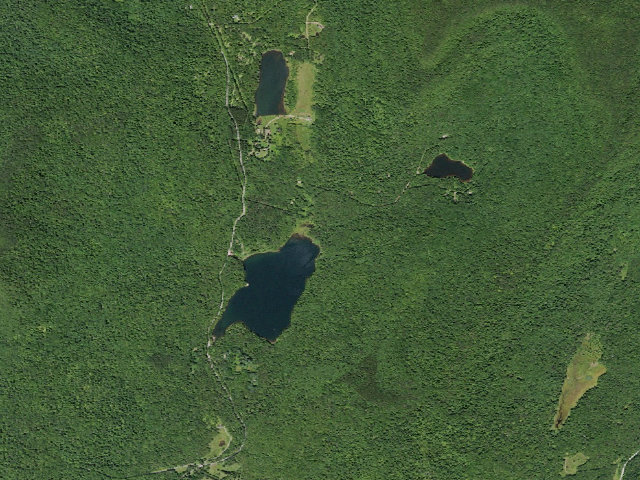 Aerial image of Big Pond Campsite 11 [DEC #16696] (Delaware Wild Forest)