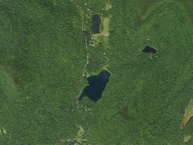 Aerial image of Big Pond Campsite 12 [DEC #16695] (Delaware Wild Forest)