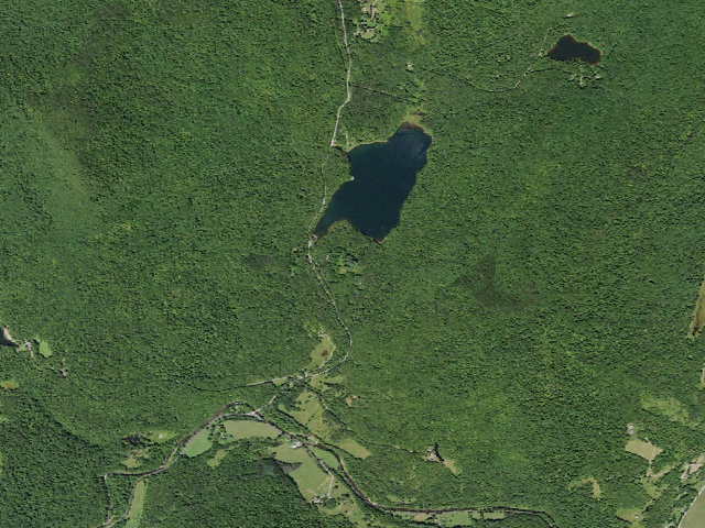 Aerial image of Big Pond Campsite 3 [DEC #16717] (Delaware Wild Forest)