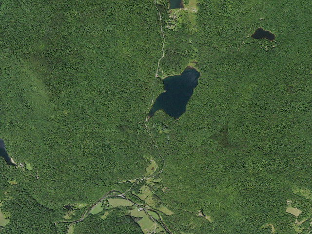 Aerial image of Big Pond Campsite 6 [DEC #16697] (Delaware Wild Forest)