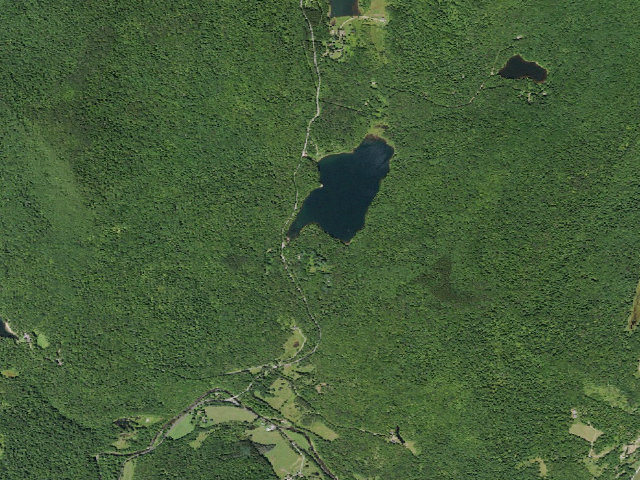 Aerial image of Big Pond Campsite 7 [DEC #16698] (Delaware Wild Forest)