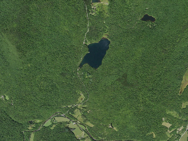 Aerial image of Big Pond Campsite 8 [DEC #16743] (Delaware Wild Forest)