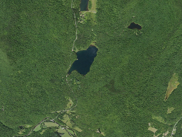 Aerial image of Big Pond Campsite 9 [DEC #16745] (Delaware Wild Forest)