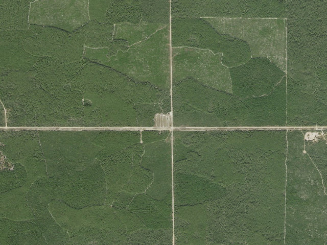 Aerial image of Big Scrub